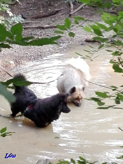 29.07.2018 - Kühlen und Spühlen